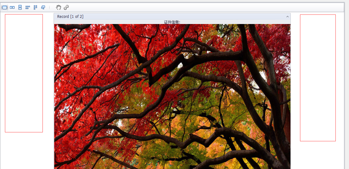 gridcontrol layoutview